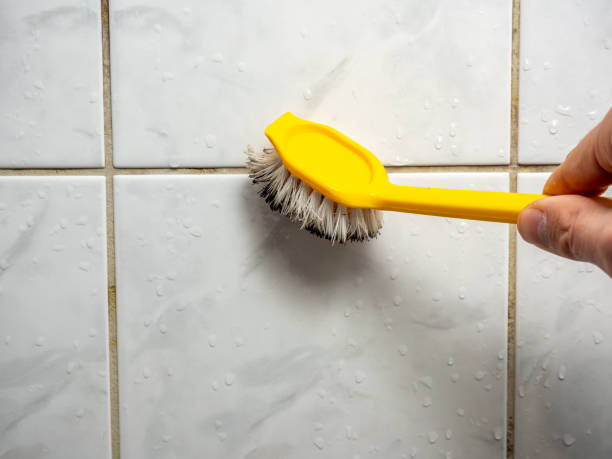 Best Mold Remediation  in Fayetteville, NC