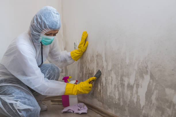 Water Damage Restoration in Fayetteville, NC