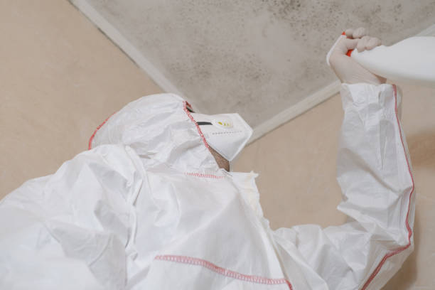 Best Affordable Mold Removal  in Fayetteville, NC
