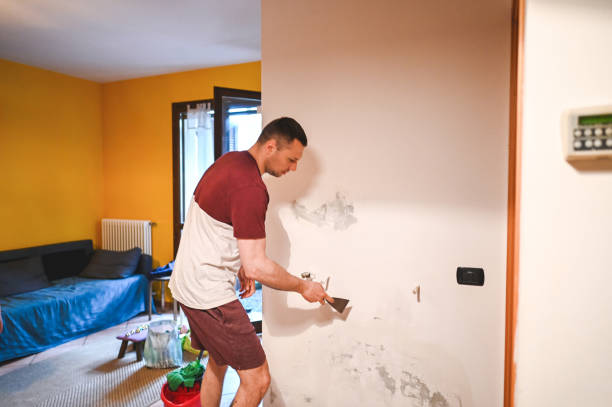 Best Mold Cleaning Services  in Fayetteville, NC