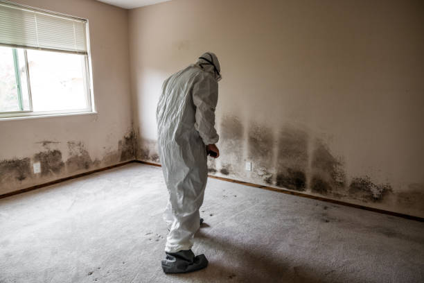 Best Residential Mold Removal  in Fayetteville, NC