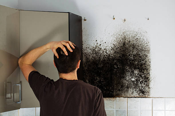 Fayetteville, NC Mold Removal Company